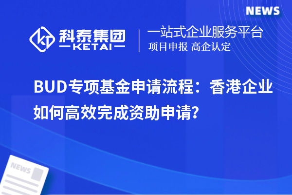 BUD专项基金申请流程：香港企业如何高效完成资助申请？