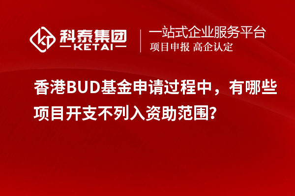 香港BUD基金申请过程中，有哪些项目开支不列入资助范围？