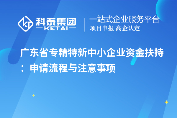 广东省专精特新中小企业资金扶持:申请流程与注意事项