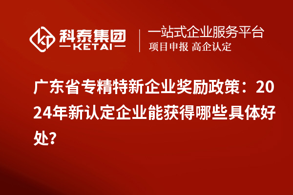 广东省专精特新企业奖励政策：2024年新认定企业能获得哪些具体好处？