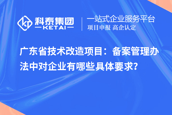 广东省技术改造项目：备案管理办法中对企业有哪些具体要求？
