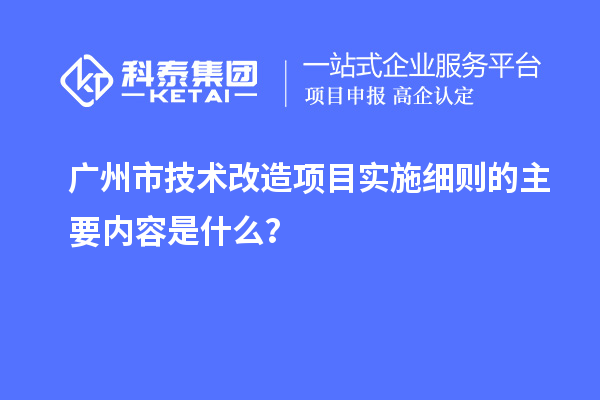 广州市技术改造项目实施细则的主要内容是什么?