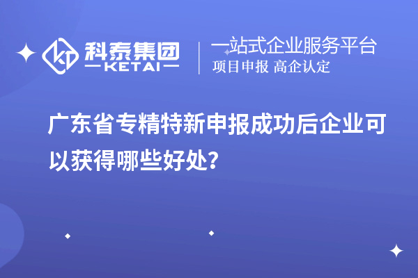 广东省专精特新申报成功后企业可以获得哪些好处?