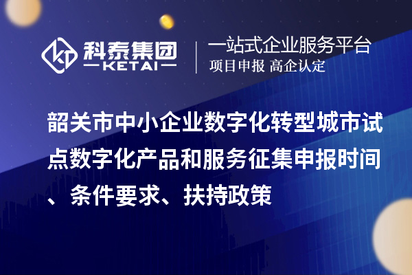 韶关市中小企业数字化转型城市试点数字化产品和服务征集申报时间、条件要求、扶持政策
