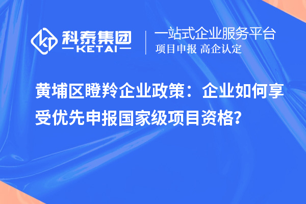 黄埔区瞪羚企业政策：企业如何享受优先申报国家级项目资格？