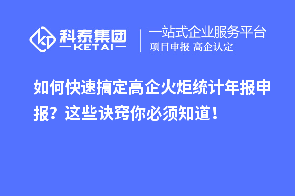 如何快速搞定高企火炬统计年报申报？这些诀窍你必须知道！