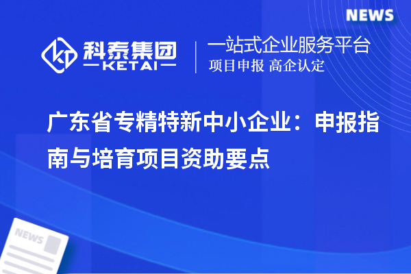广东省专精特新中小企业:申报指南与培育项目资助要点