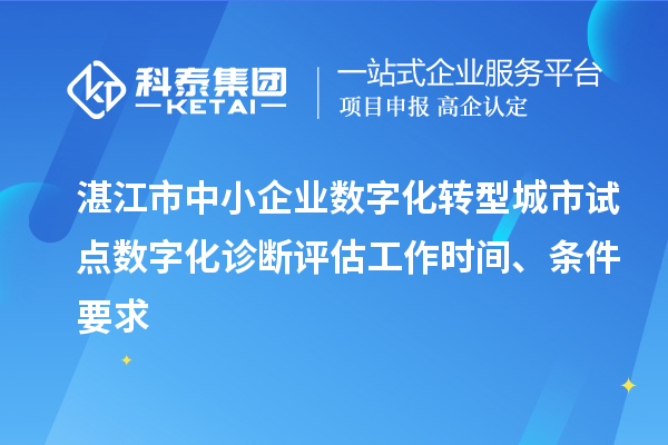 湛江市中小企业数字化转型城市试点数字化诊断评估工作时间、条件要求