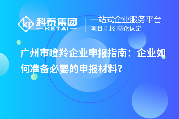 广州市瞪羚企业申报指南：企业如何准备必要的申报材料？