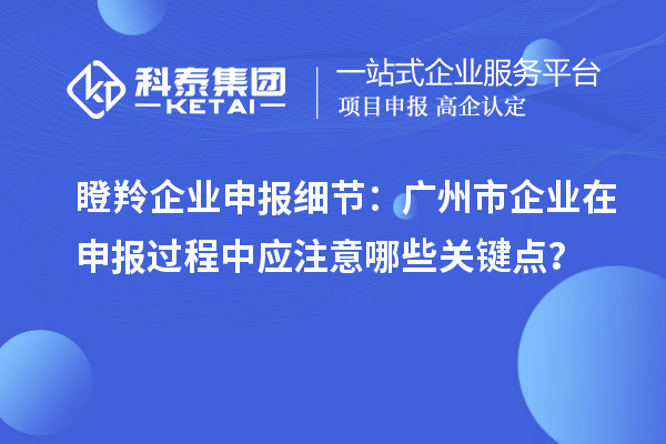 瞪羚企业申报细节：广州市企业在申报过程中应注意哪些关键点？