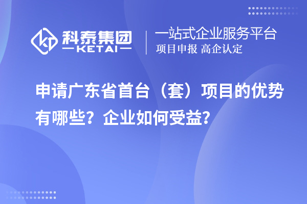 申请广东省首台（套）项目的优势有哪些？企业如何受益？