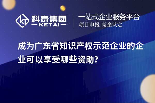 成为广东省知识产权示范企业的企业可以享受哪些资助？