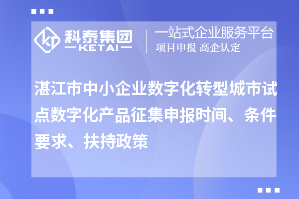 湛江市中小企业数字化转型城市试点数字化产品征集申报时间、条件要求、扶持政策