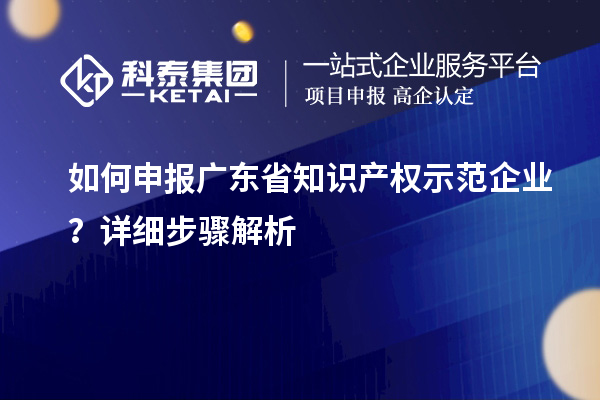 如何申报广东省知识产权示范企业?详细步骤解析