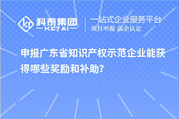 申报广东省知识产权示范企业能获得哪些奖励和补助?