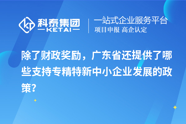 除了财政奖励，广东省还提供了哪些支持专精特新中小企业发展的政策？