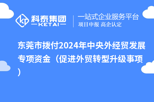 东莞市拨付2024年中央外经贸发展专项资金(促进外贸转型升级事项)