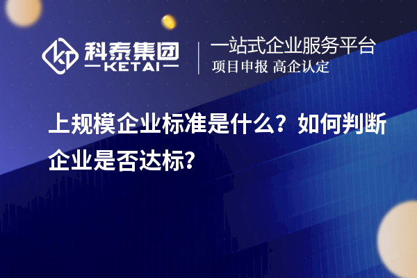 上规模企业标准是什么？如何判断企业是否达标？