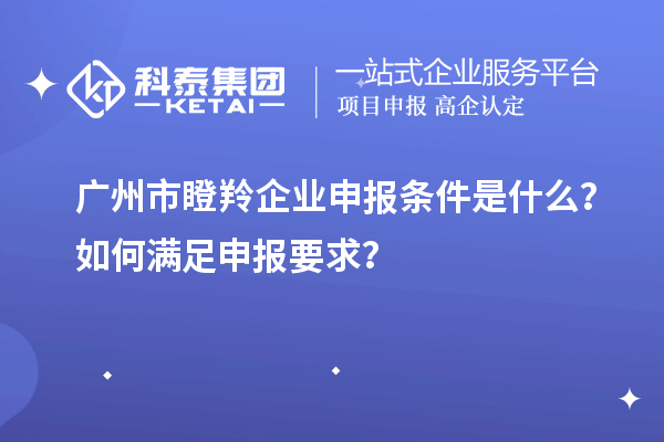 广州市瞪羚企业申报条件是什么？如何满足申报要求？