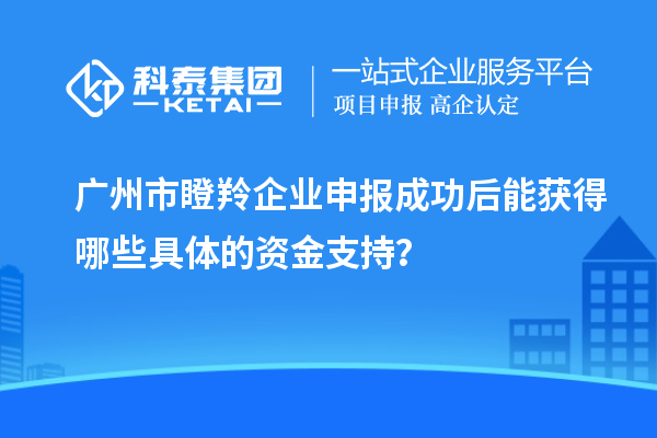 广州市瞪羚企业申报成功后能获得哪些具体的资金支持？