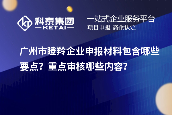 广州市瞪羚企业申报材料包含哪些要点？重点审核哪些内容？