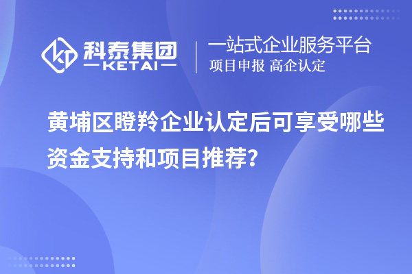 黄埔区瞪羚企业认定后可享受哪些资金支持和项目推荐？