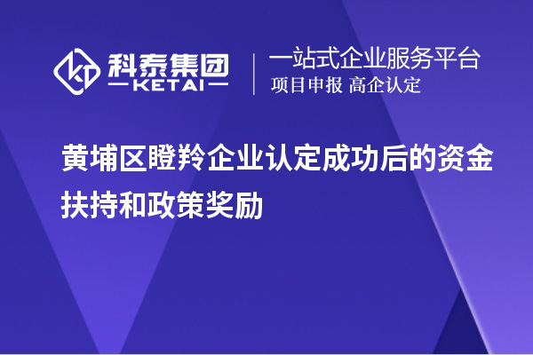 黄埔区瞪羚企业认定成功后的资金扶持和政策奖励