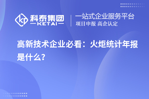 高新技术企业必看:火炬统计年报是什么?