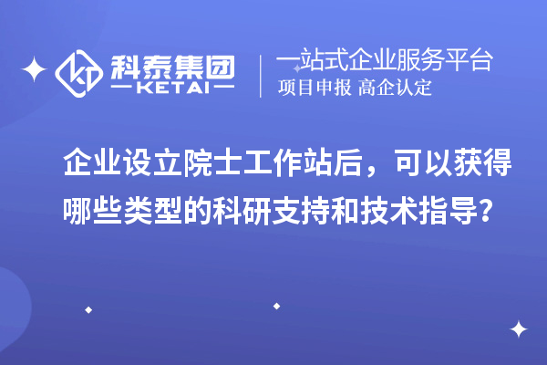 企业设立院士工作站后，可以获得哪些类型的科研支持和技术指导？