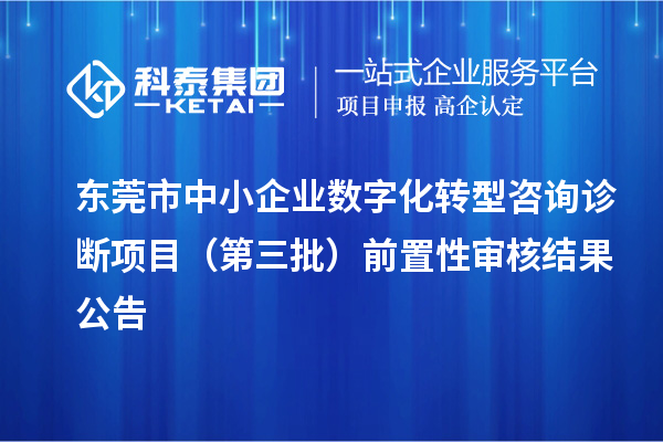 东莞市中小企业数字化转型咨询诊断项目(第三批)前置性审核结果公告