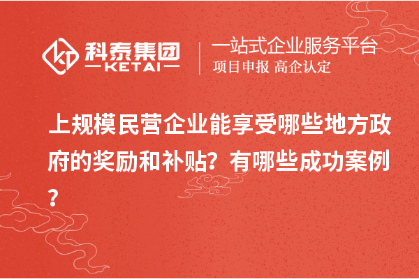 上规模民营企业能享受哪些地方政府的奖励和补贴？有哪些成功案例？
