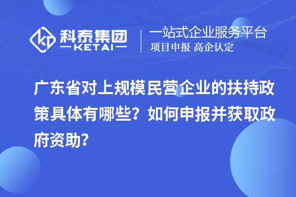 广东省对上规模民营企业的扶持政策具体有哪些？如何申报并获取政府资助？