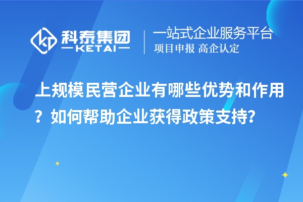 上规模民营企业有哪些优势和作用？如何帮助企业获得政策支持？