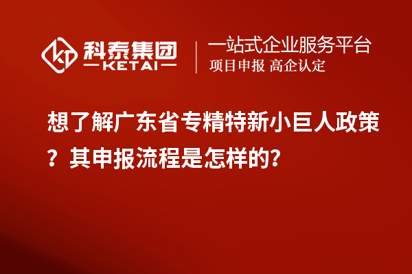 想了解广东省专精特新小巨人政策？其申报流程是怎样的？