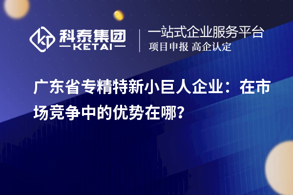 广东省专精特新小巨人企业：在市场竞争中的优势在哪？