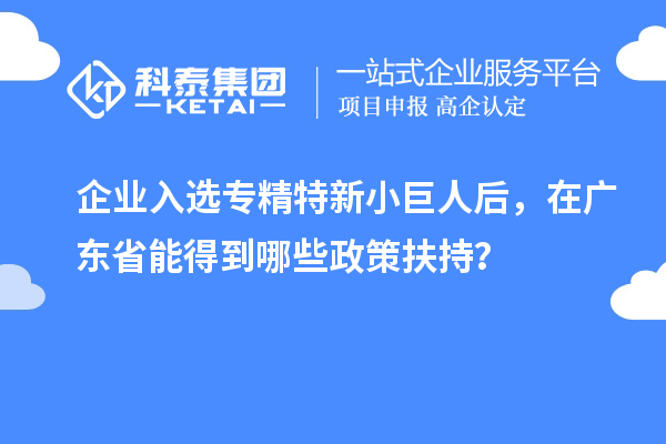 企业入选专精特新小巨人后，在广东省能得到哪些政策扶持？