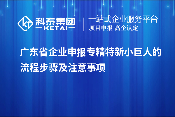 广东省企业申报专精特新小巨人的流程步骤及注意事项