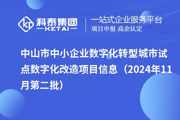 中山市中小企业数字化转型城市试点数字化改造项目信息(2024年11月第二批)