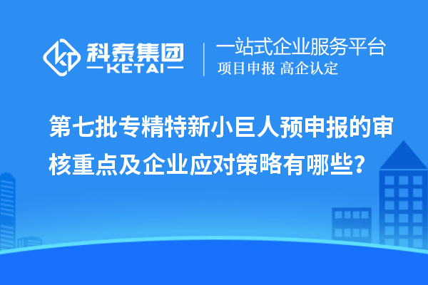 第七批专精特新小巨人预申报的审核重点及企业应对策略有哪些？