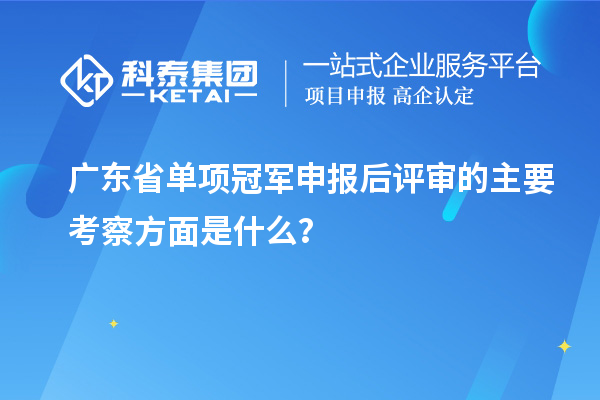 广东省单项冠军申报后评审的主要考察方面是什么？