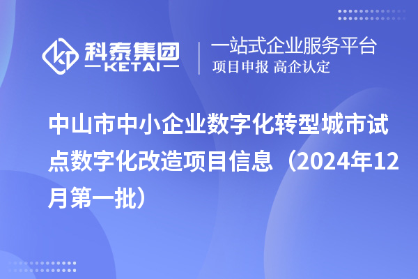 中山市中小企业数字化转型城市试点数字化改造项目信息（2024年12月第一批）