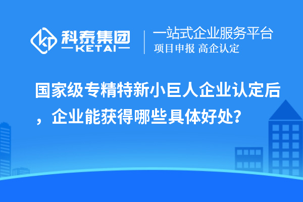 国家级专精特新小巨人企业认定后，企业能获得哪些具体好处？