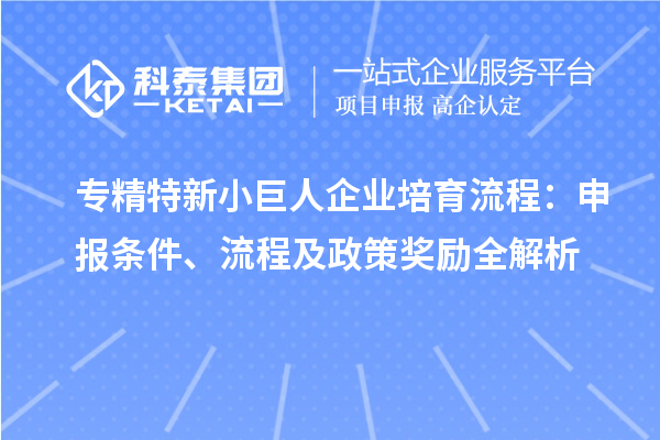 专精特新小巨人企业培育流程:申报条件、流程及政策奖励全解析