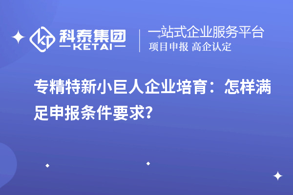 专精特新小巨人企业培育：怎样满足申报条件要求？