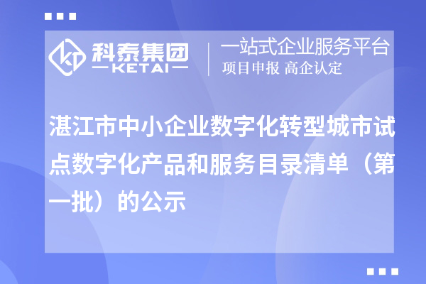 湛江市中小企业数字化转型城市试点数字化产品和服务目录清单(第一批)的公示