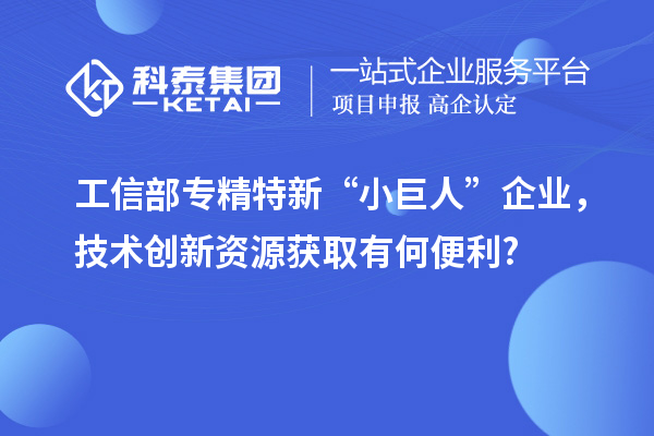 工信部专精特新 “小巨人” 企业，技术创新资源获取有何便利?