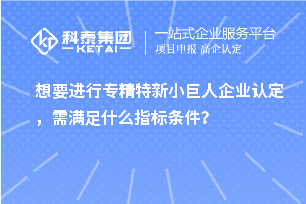 想要进行专精特新小巨人企业认定，需满足什么指标条件？