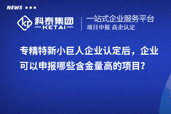 专精特新小巨人企业认定后，企业可以申报哪些含金量高的项目？