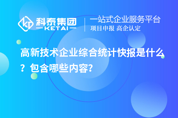 高新技术企业综合统计快报是什么？包含哪些内容？