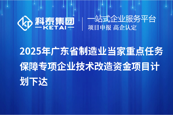 2025年广东省制造业当家重点任务保障专项企业技术改造资金项目计划下达